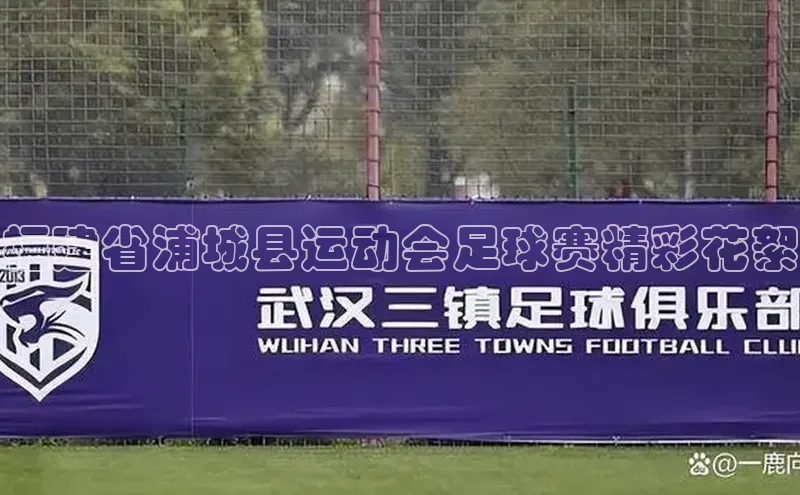 辉达平台登录入口百度社团赞助平台福建省浦城县运动会足球赛精彩花絮