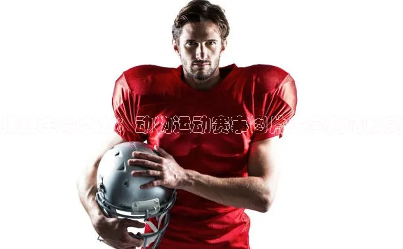 捕捉生命之力：动物运动赛事图片大全高清欣赏